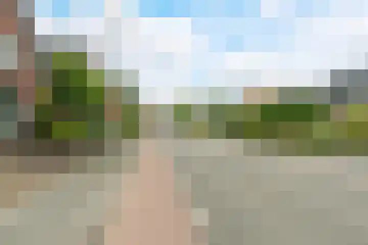 Plantsoen 138 Prinsenbeek thumbnail 57