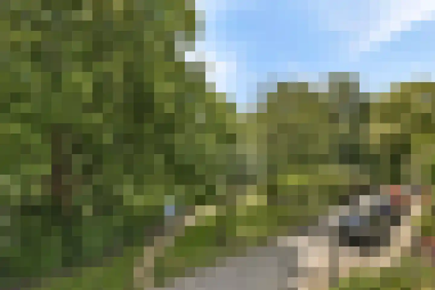 Plantsoen 15 A Leiden thumbnail 12