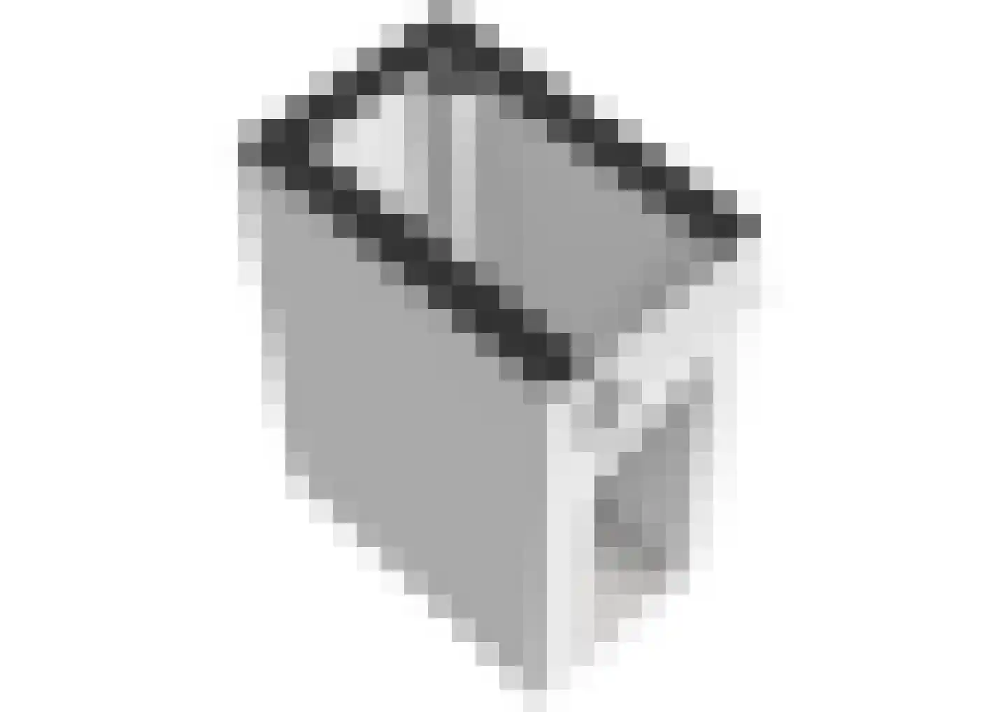Plantsoen 15 A Leiden thumbnail 30