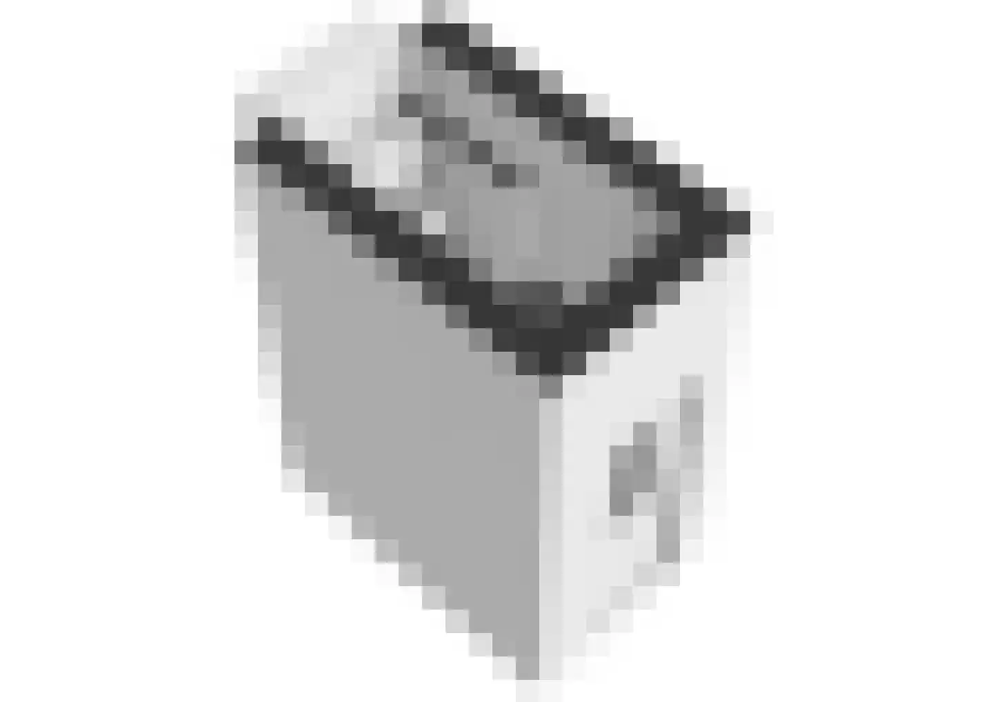 Plantsoen 15 A Leiden thumbnail 31