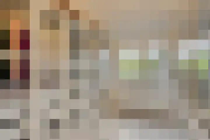 Plantsoen 16 Heesch thumbnail 31