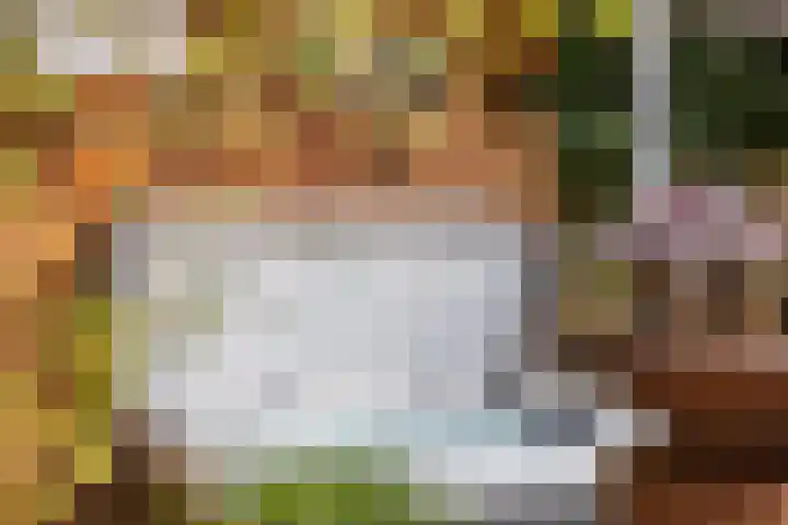 Plantsoen 16 Heesch thumbnail 51