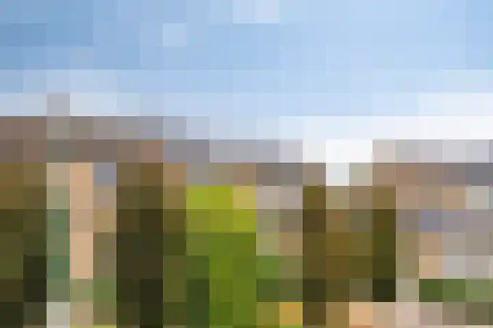 Plantsoen 16 Heesch thumbnail 54