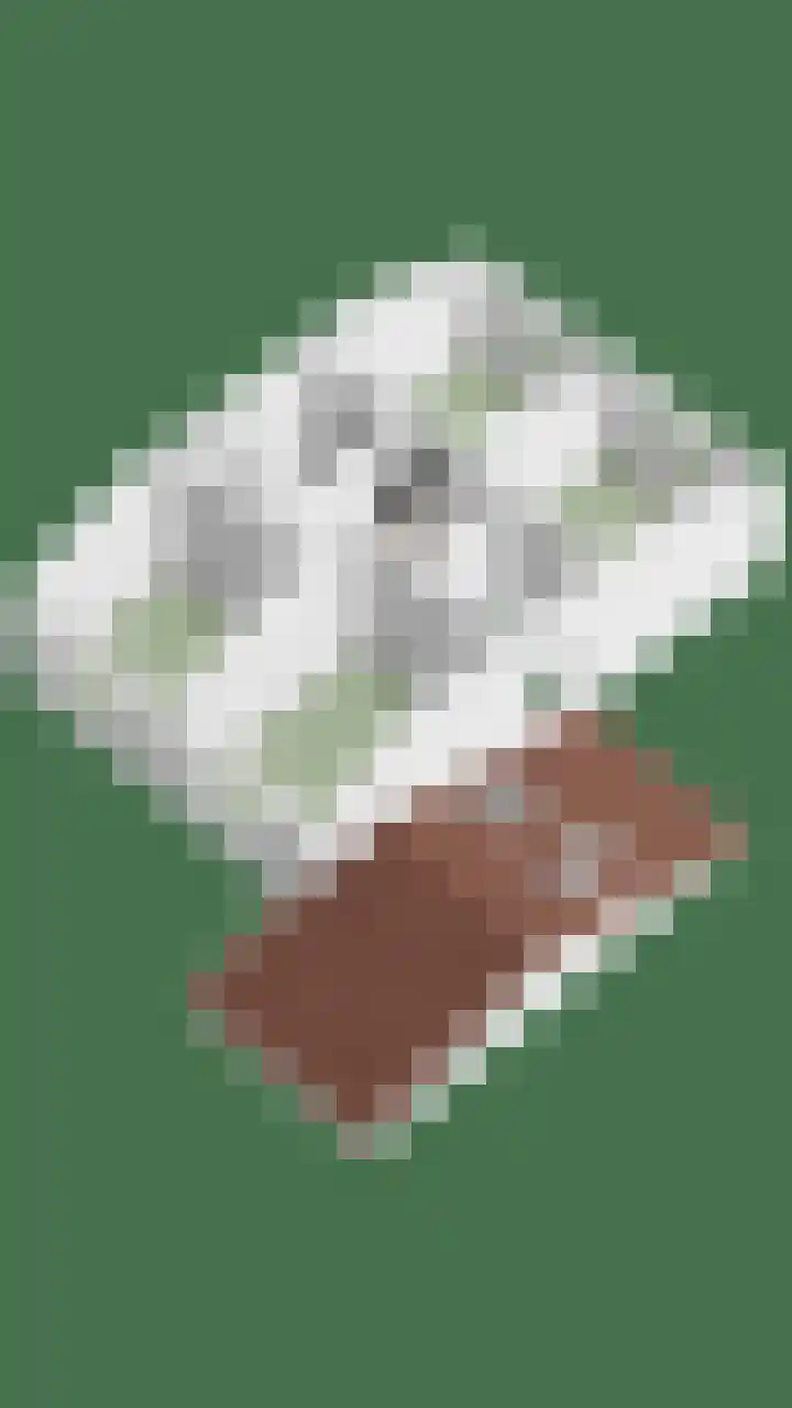 Plantsoen 16 Heesch thumbnail 62