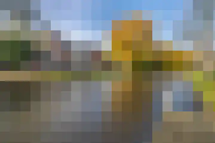 Plantsoen 17 Woerden thumbnail 32