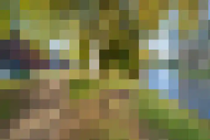 Plantsoen 17 Woerden thumbnail 33
