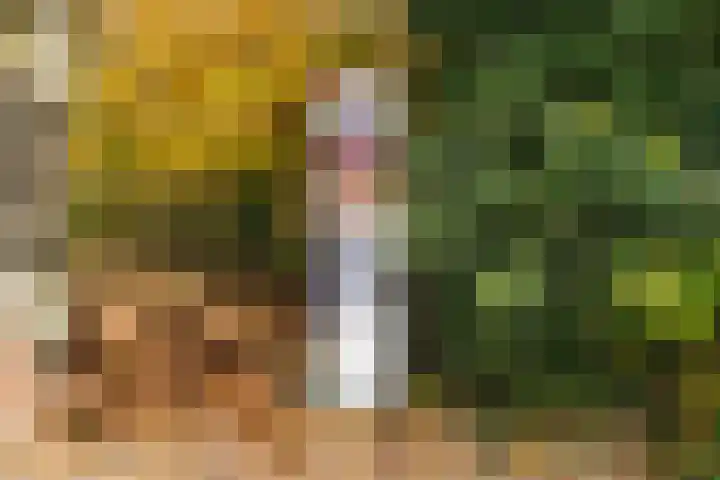Plantsoen 17 Woerden thumbnail 34