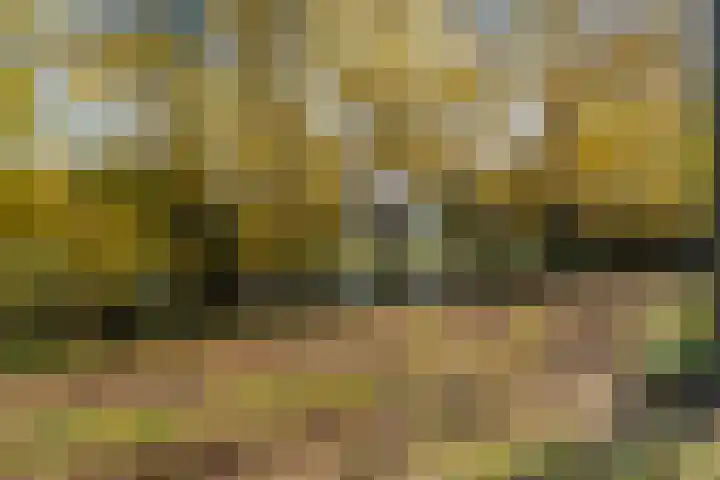 Plantsoen 17 Woerden thumbnail 35