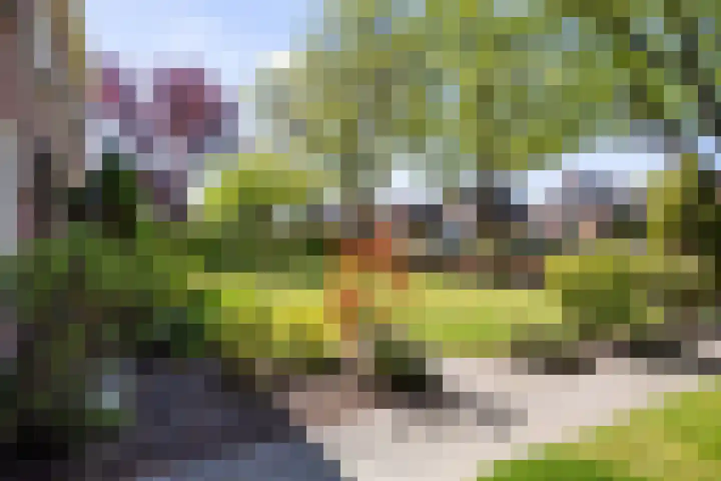Plantsoen 18 De Wilp thumbnail 12