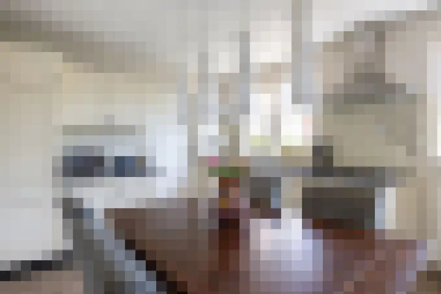 Plantsoen 18 De Wilp thumbnail 26