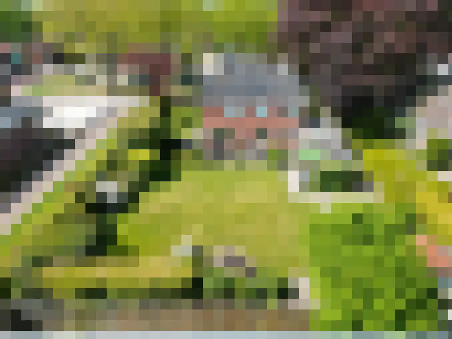 Plantsoen 18 De Wilp foto 3