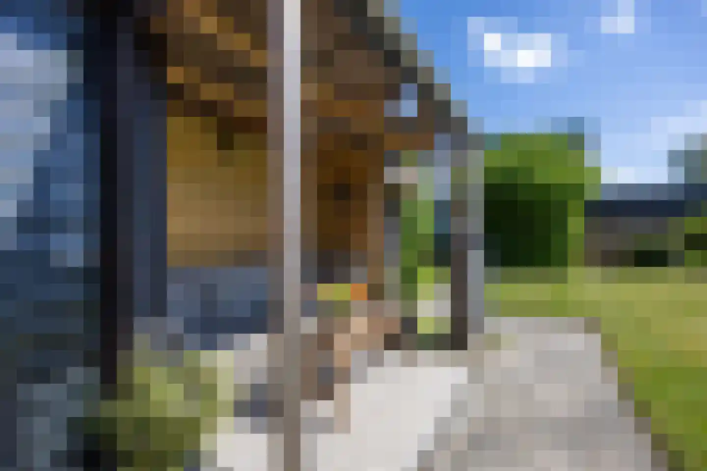 Plantsoen 18 De Wilp thumbnail 54