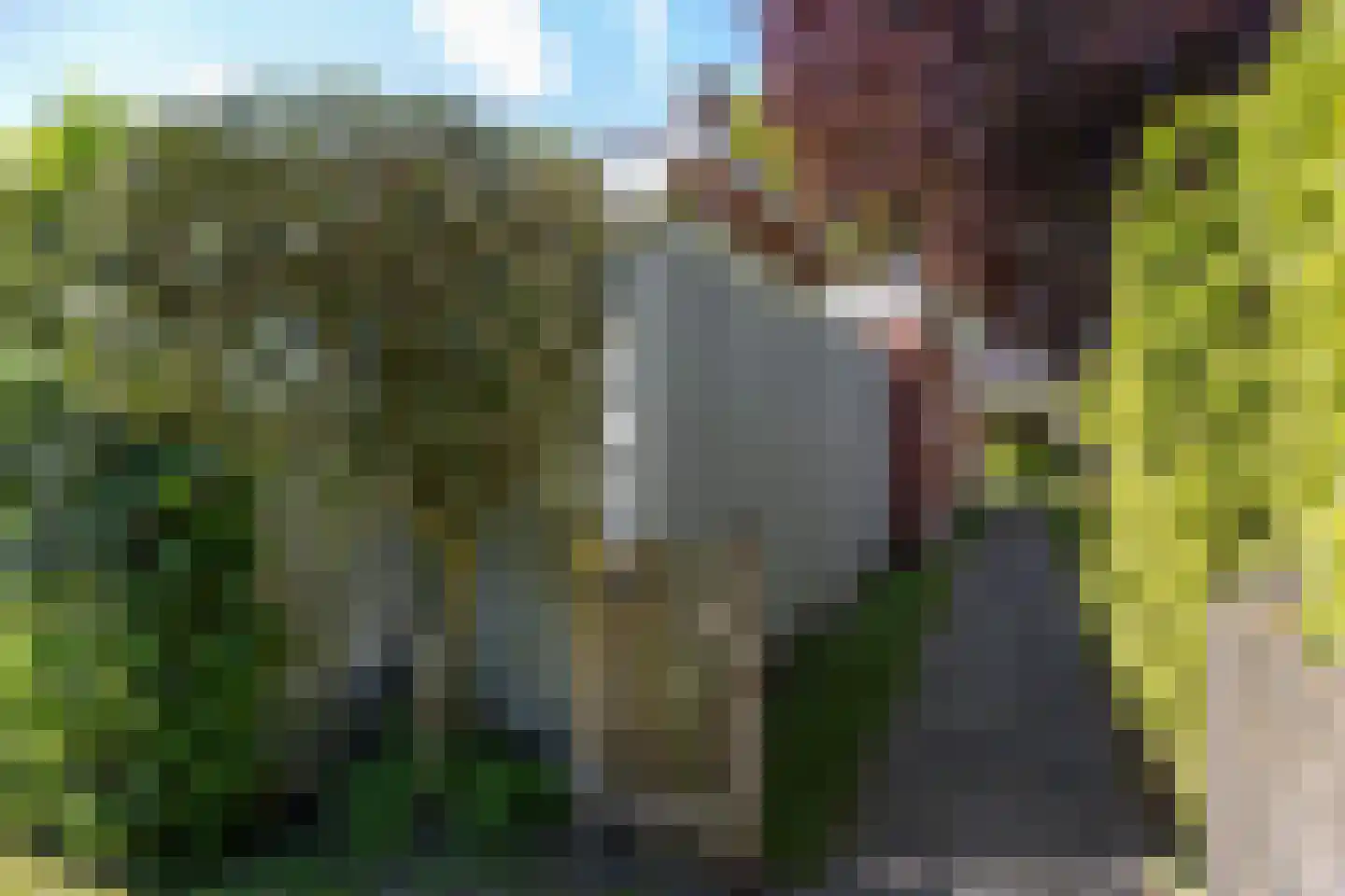 Plantsoen 18 De Wilp thumbnail 55