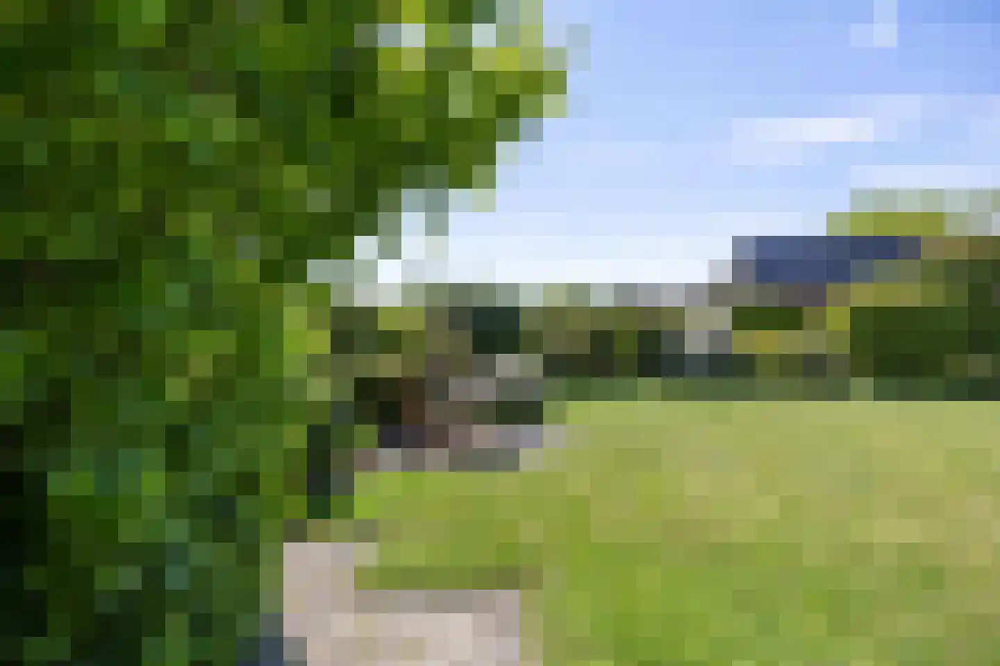 Plantsoen 18 De Wilp thumbnail 58