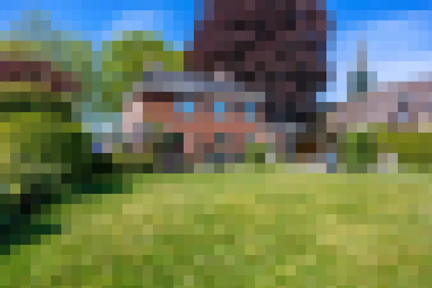 Plantsoen 18 De Wilp thumbnail 59