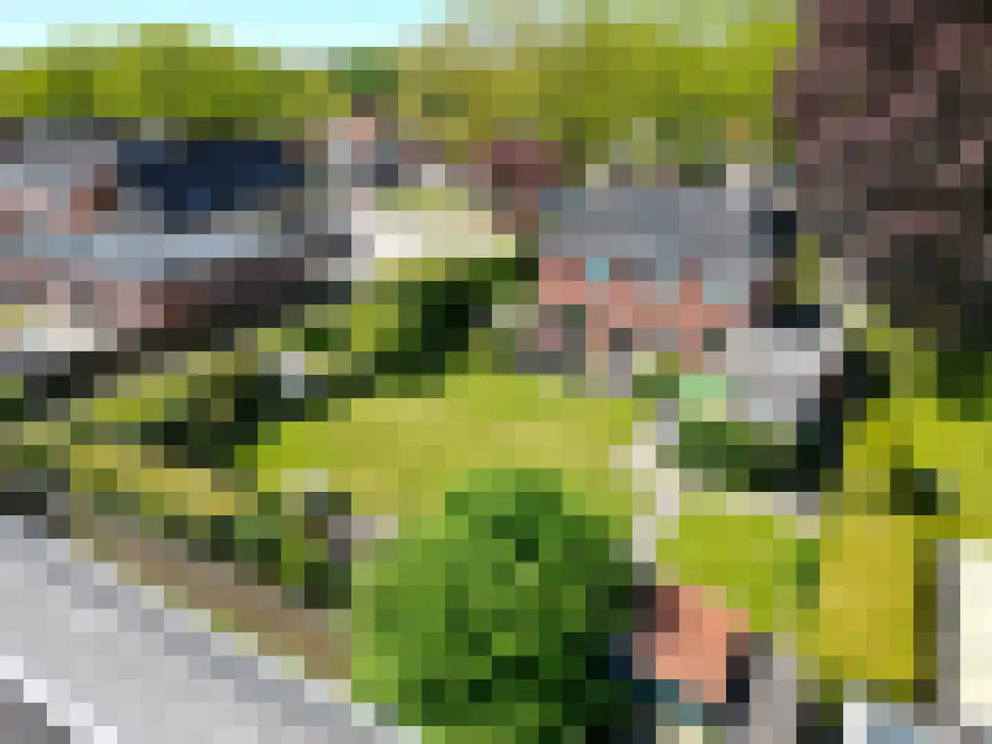 Plantsoen 18 De Wilp thumbnail 63