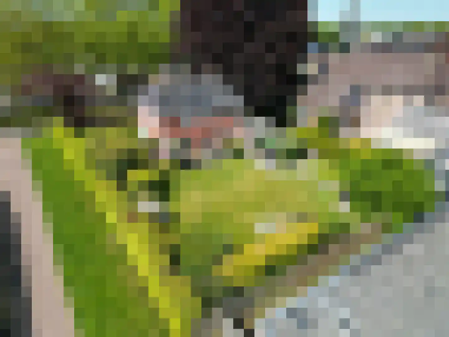 Plantsoen 18 De Wilp thumbnail 64