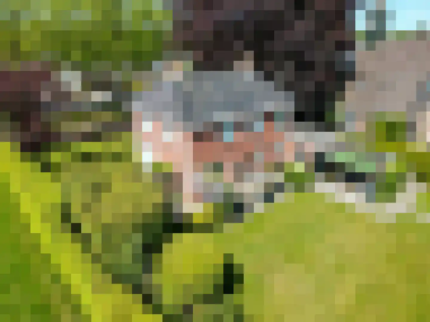 Plantsoen 18 De Wilp thumbnail 65
