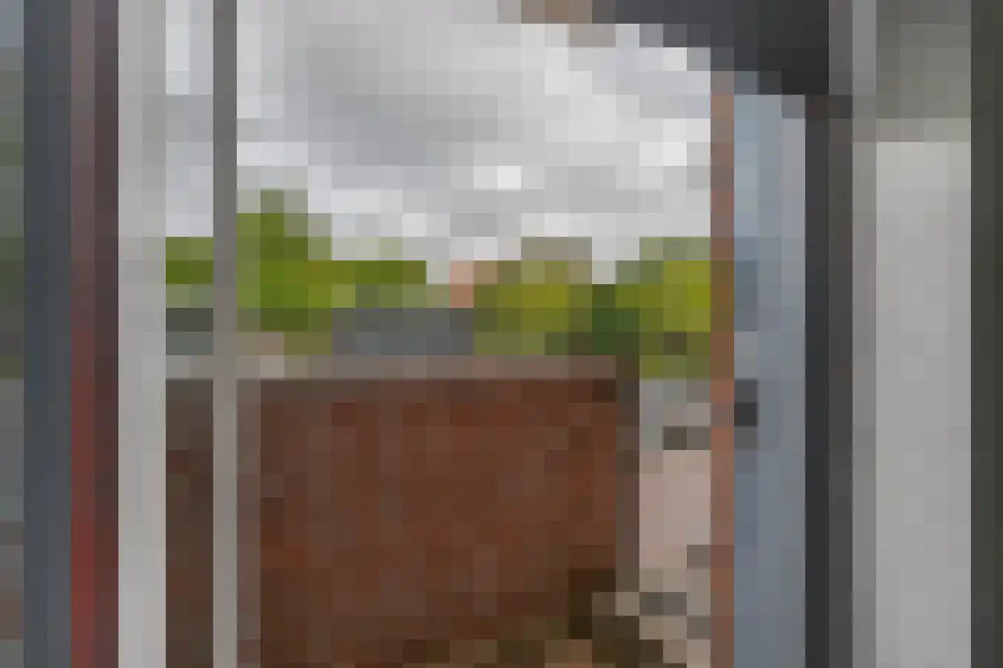 Plantsoen 186 Wageningen thumbnail 28