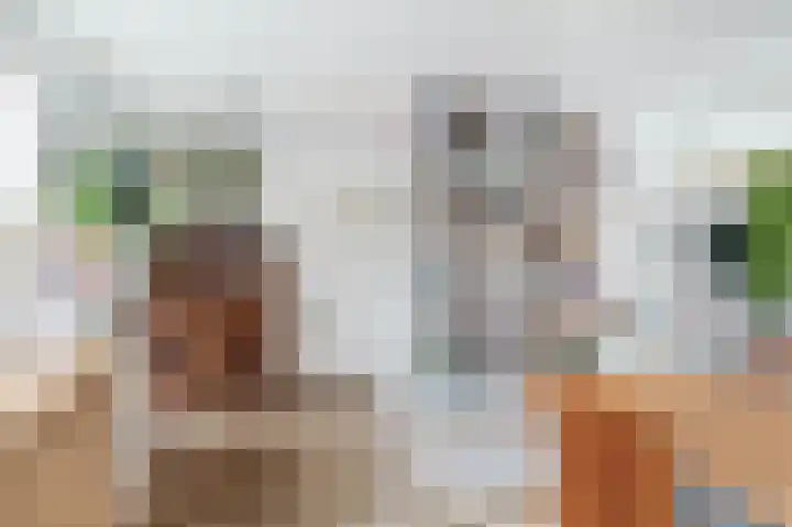 Plantsoen 2 Bakhuizen thumbnail 10