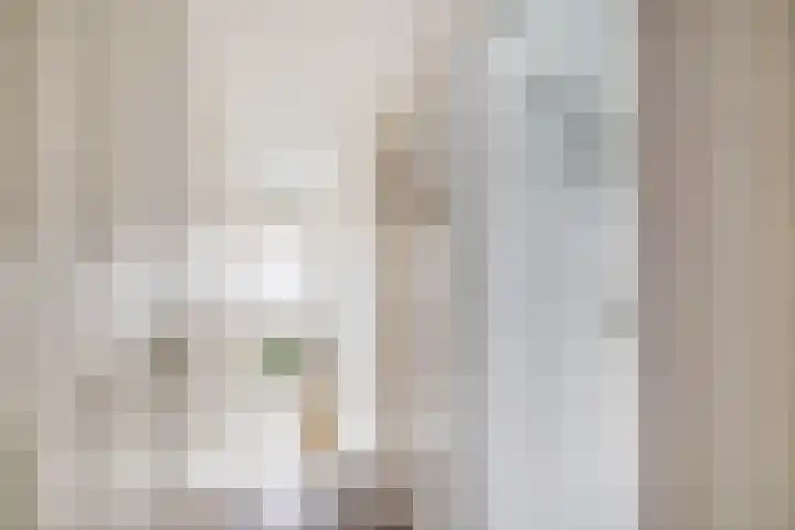 Plantsoen 2 Bakhuizen thumbnail 18