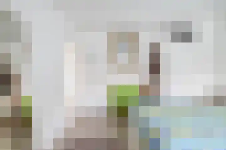 Plantsoen 2 Bakhuizen thumbnail 20