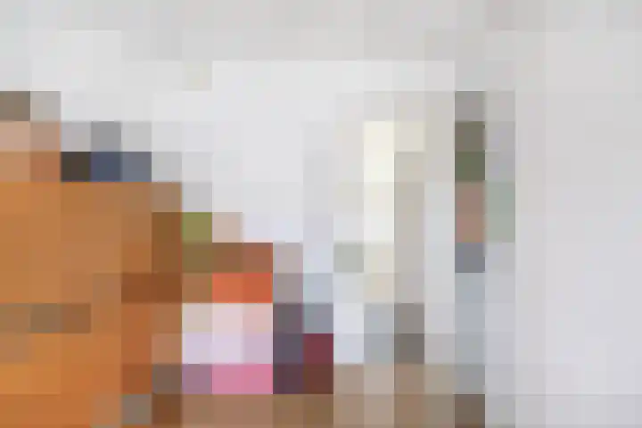 Plantsoen 2 Bakhuizen thumbnail 24