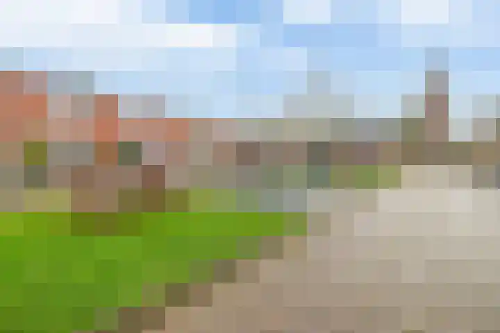 Plantsoen 2 Bakhuizen thumbnail 32