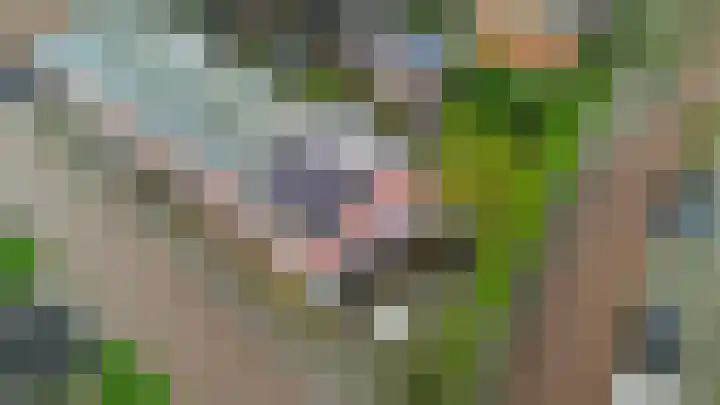 Plantsoen 2 Bakhuizen thumbnail 33