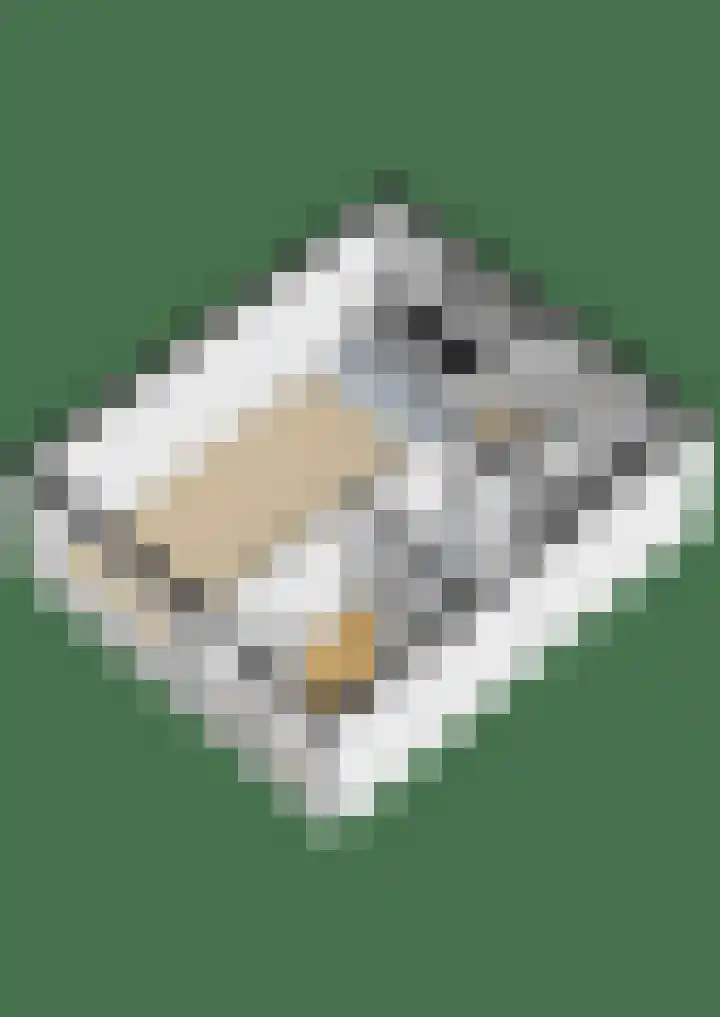 Plantsoen 2 Bakhuizen thumbnail 39