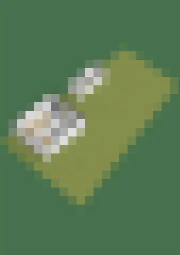 Plantsoen 2 Bakhuizen thumbnail 45