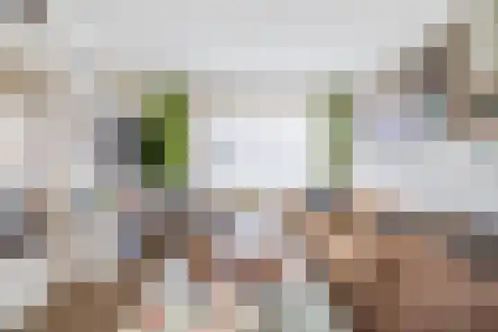 Plantsoen 2 Bakhuizen thumbnail 7
