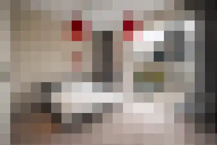 Plantsoen 20 Schagen thumbnail 13