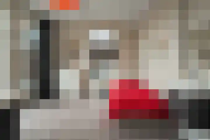 Plantsoen 20 Schagen thumbnail 19