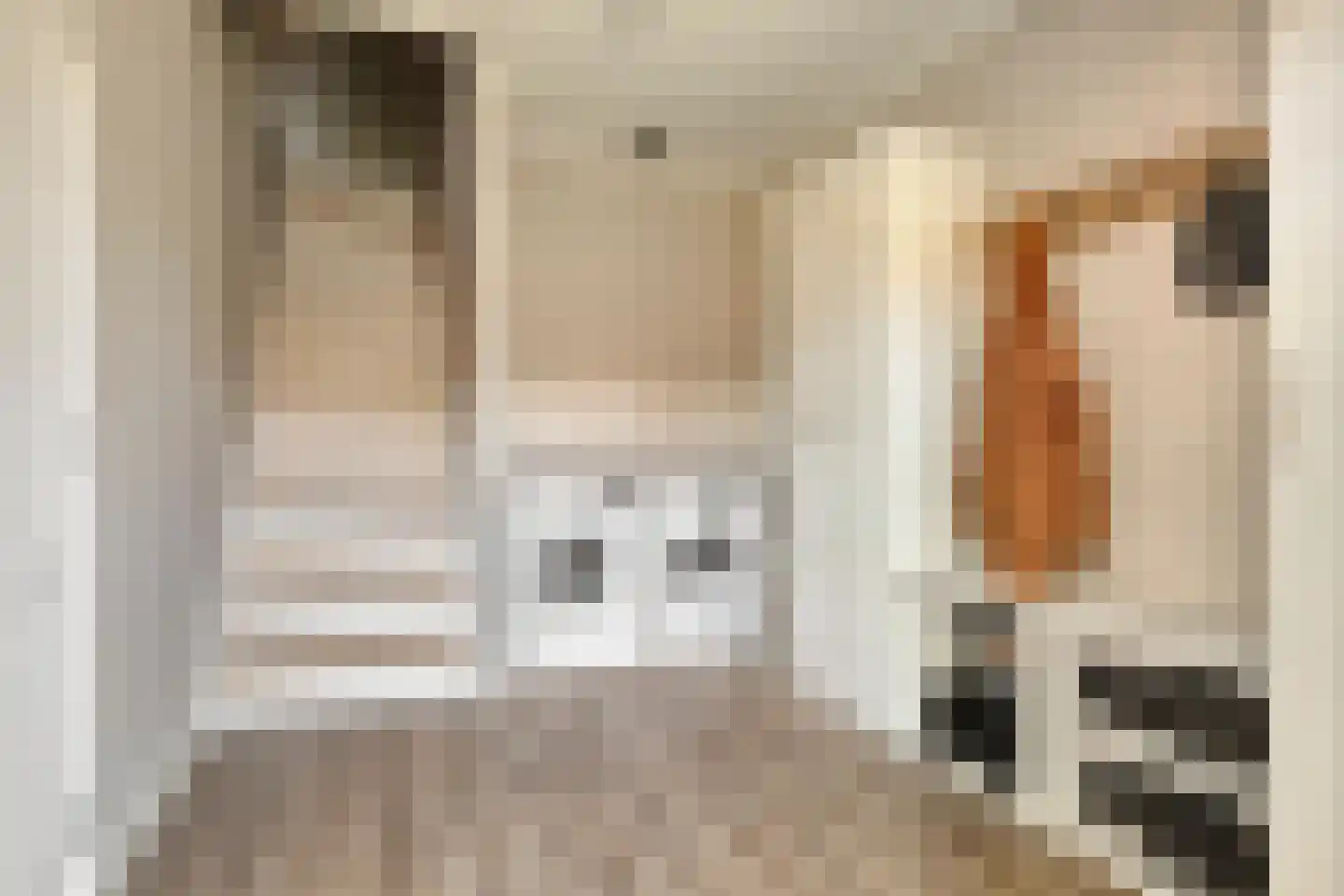 Plantsoen 22 Lage Zwaluwe thumbnail 19