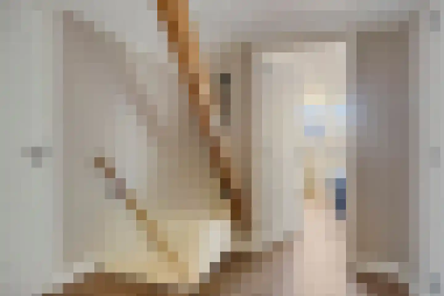Plantsoen 22 Lage Zwaluwe thumbnail 21