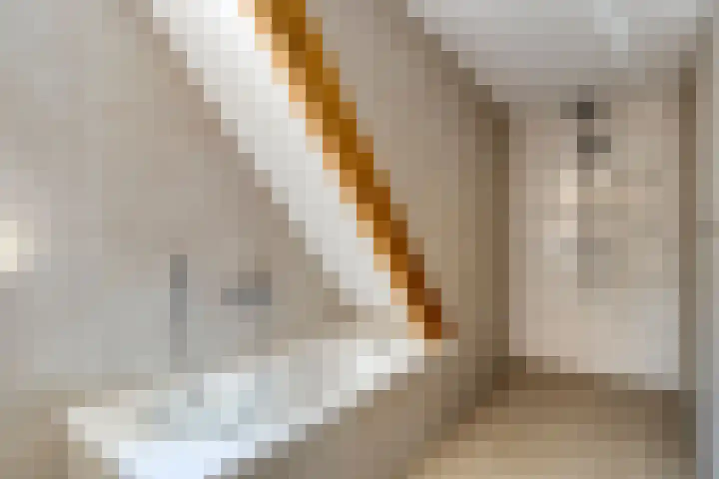 Plantsoen 22 Lage Zwaluwe thumbnail 25