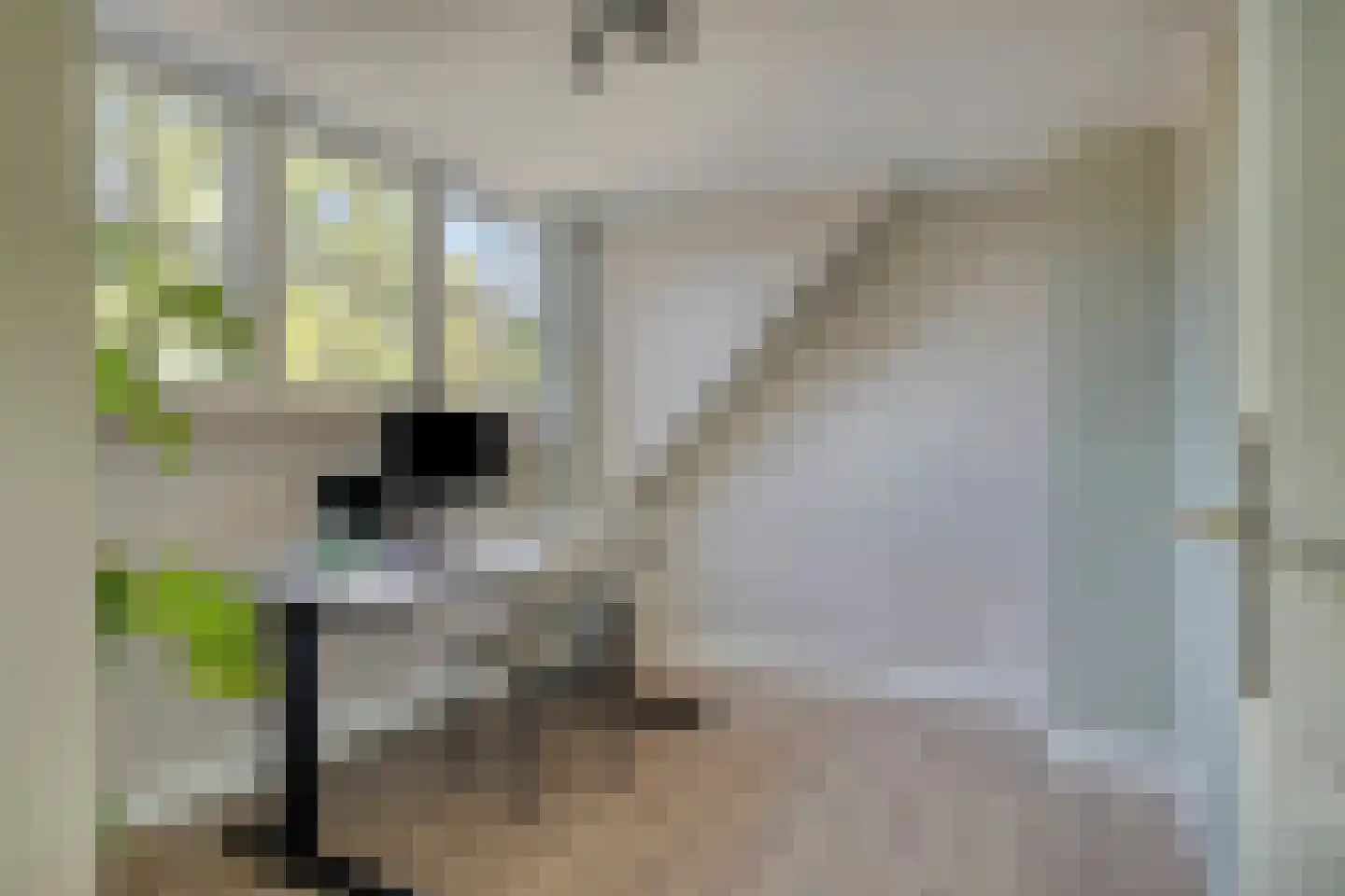 Plantsoen 22 Lage Zwaluwe thumbnail 31