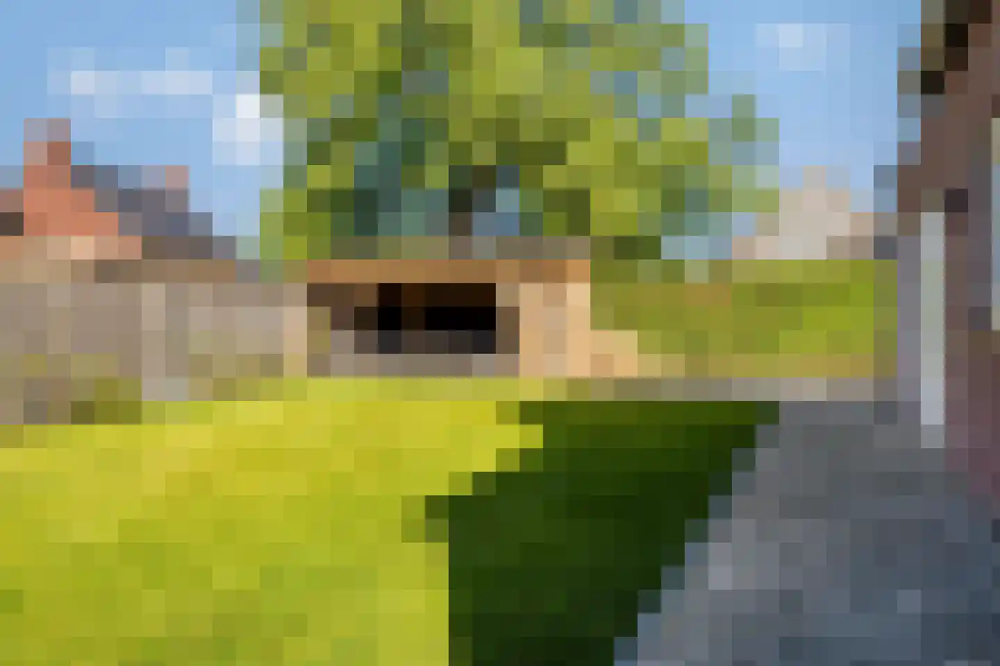 Plantsoen 22 Lage Zwaluwe thumbnail 32