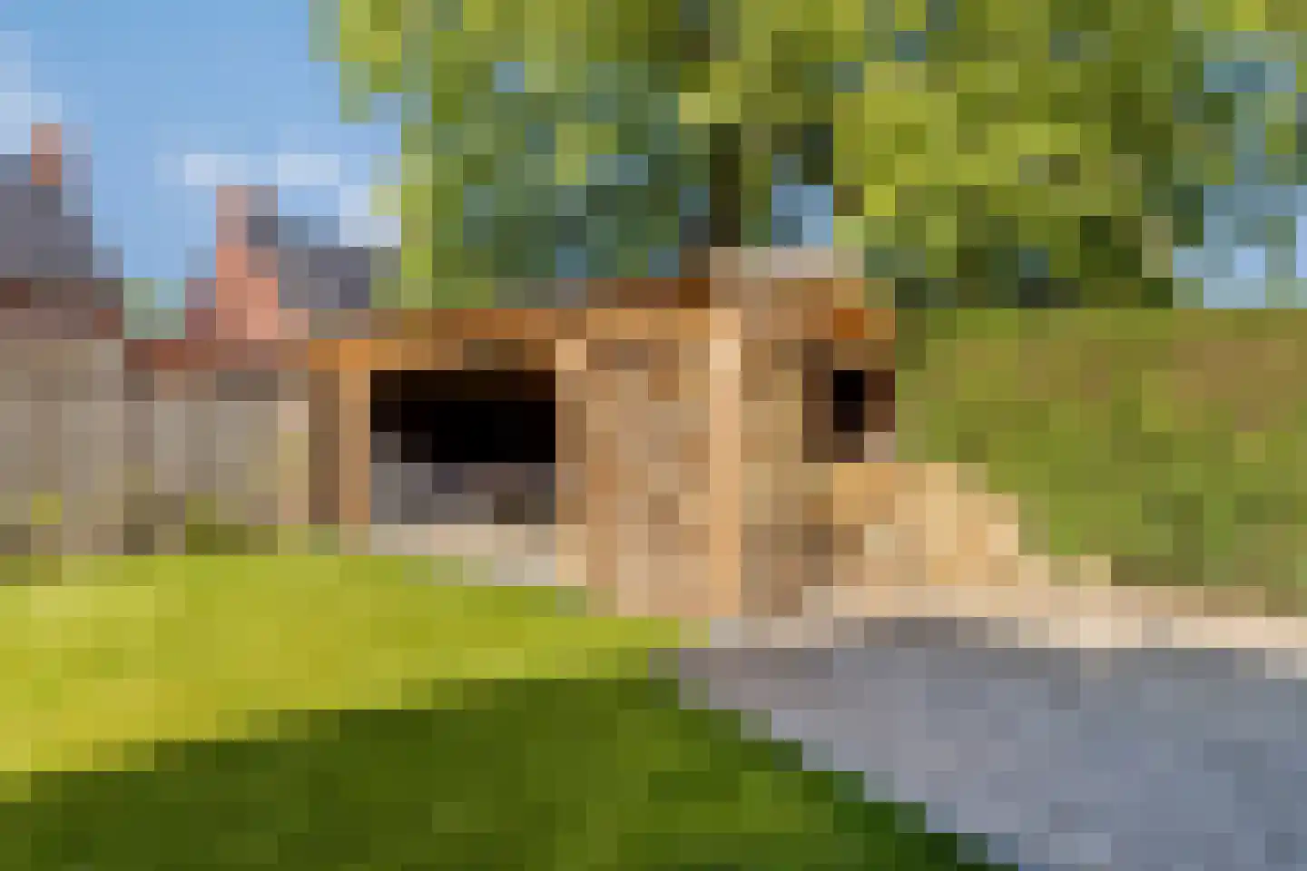 Plantsoen 22 Lage Zwaluwe thumbnail 34