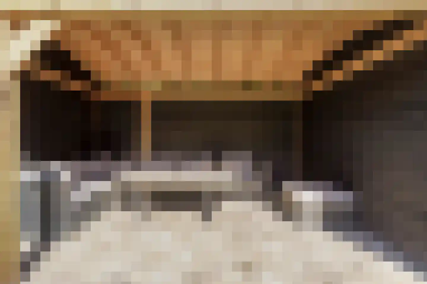 Plantsoen 22 Lage Zwaluwe thumbnail 35