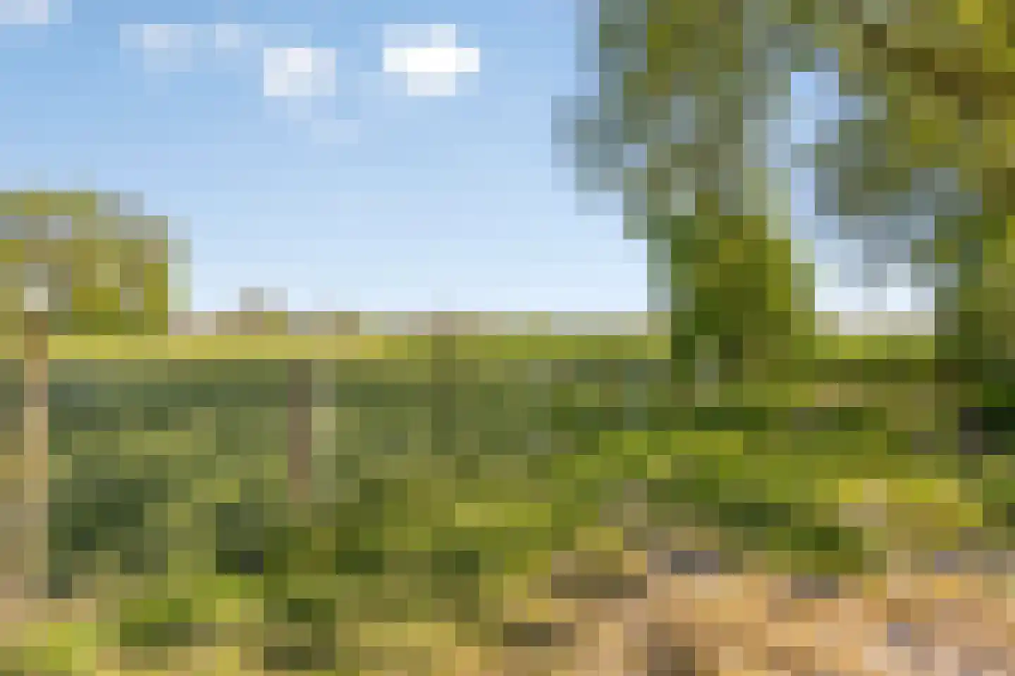 Plantsoen 22 Lage Zwaluwe thumbnail 39