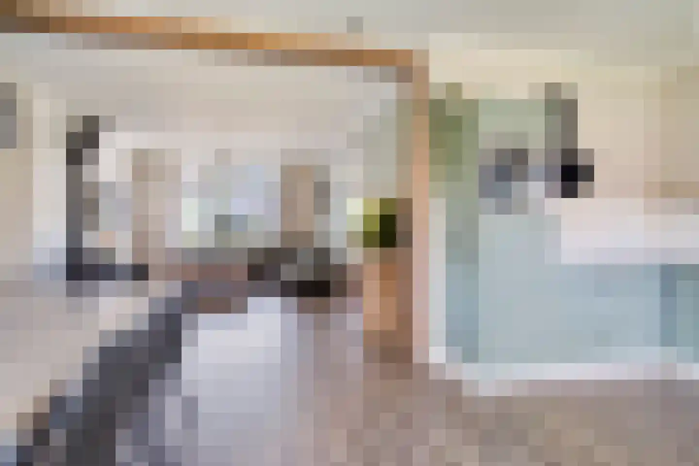 Plantsoen 22 Lage Zwaluwe thumbnail 6