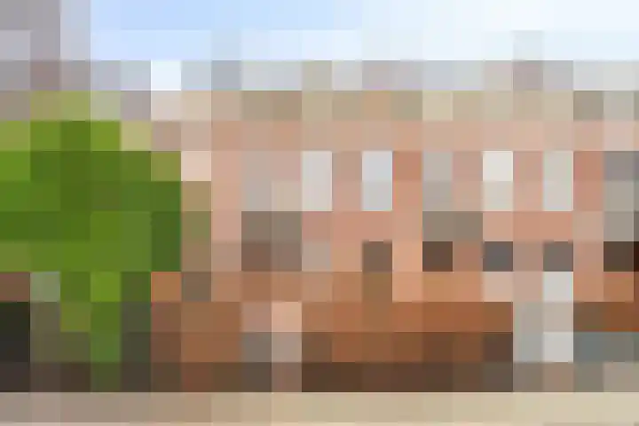 Plantsoen 23 in Leiden