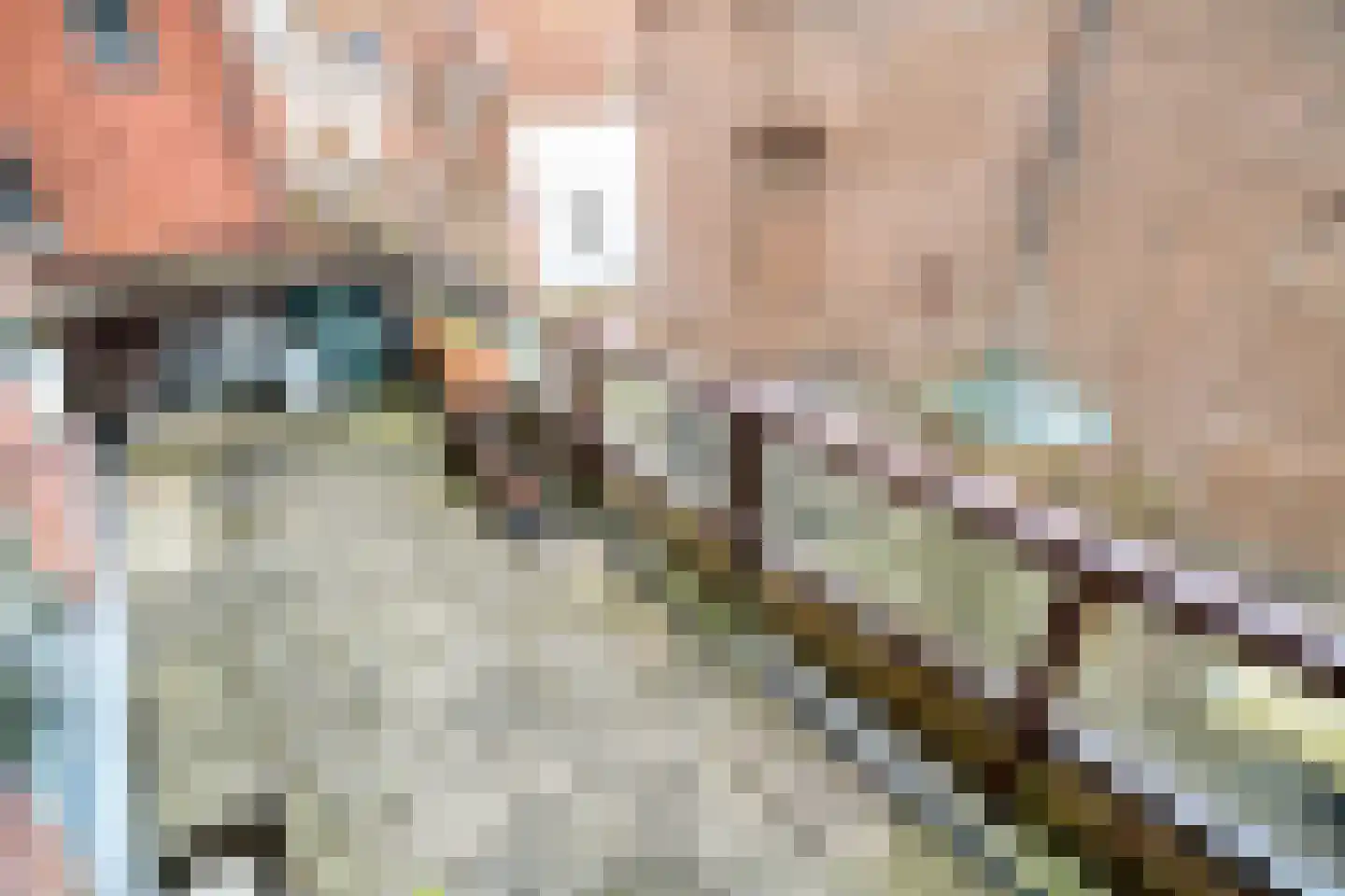 Plantsoen 23 Leiden thumbnail 12