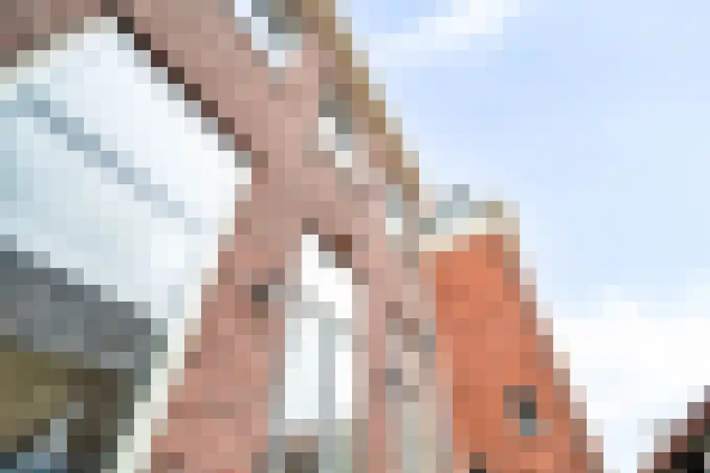 Plantsoen 23 Leiden thumbnail 15