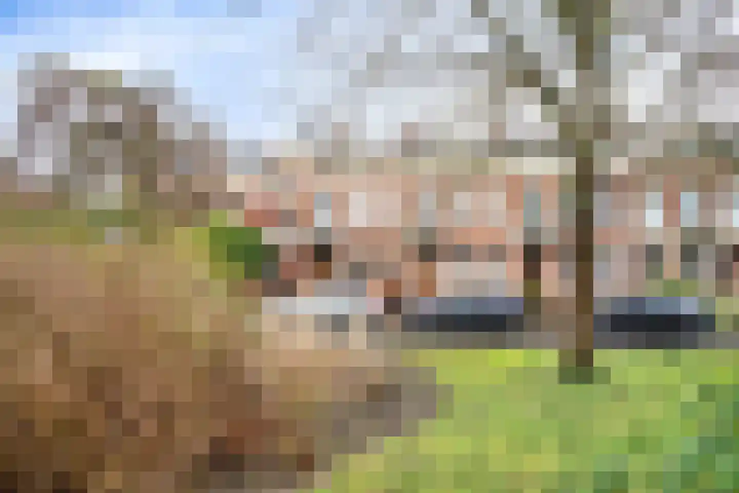 Plantsoen 23 Leiden thumbnail 94