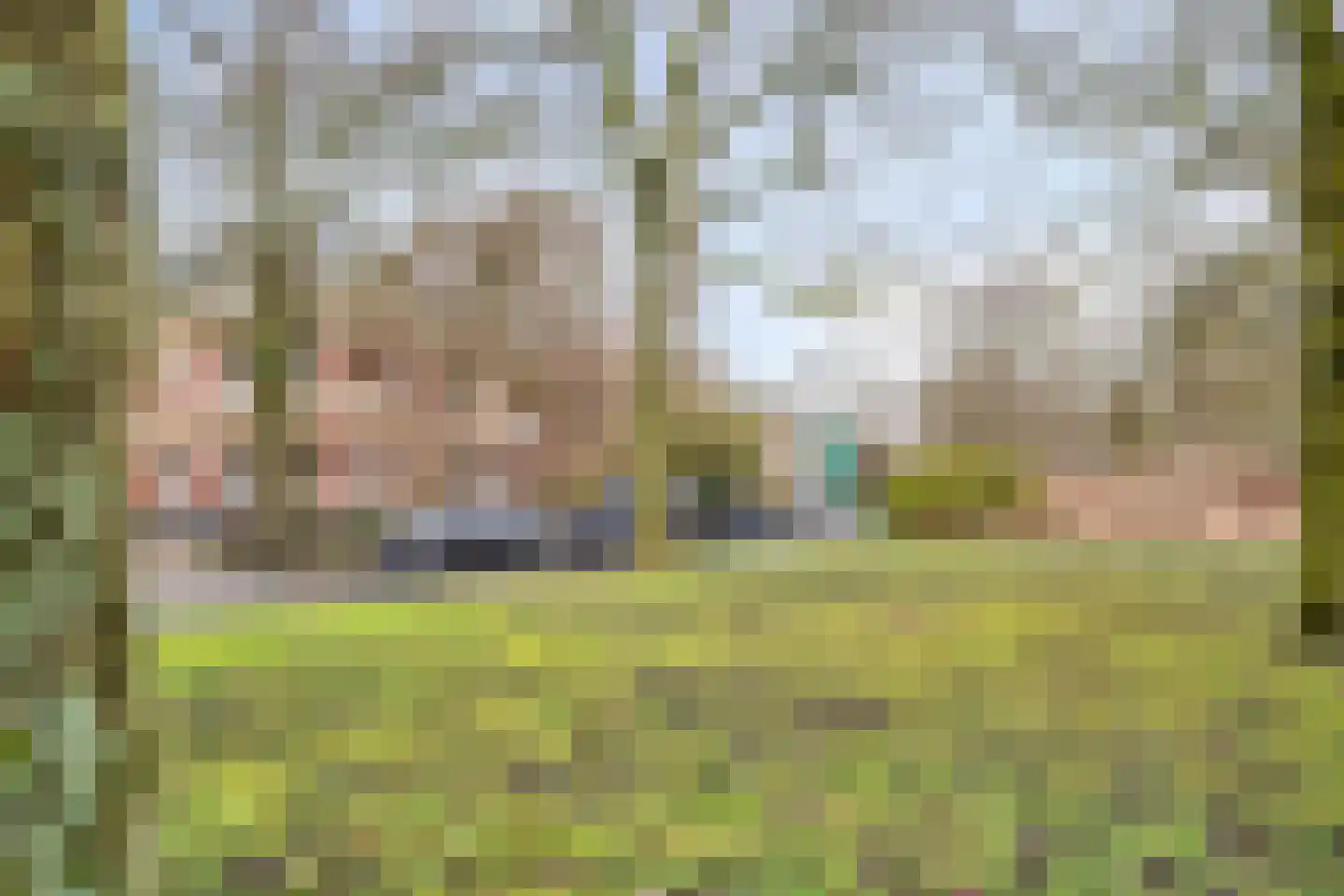 Plantsoen 23 Leiden thumbnail 97