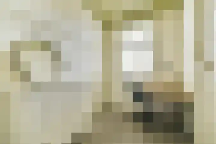 Plantsoen 24 Lage Zwaluwe thumbnail 12