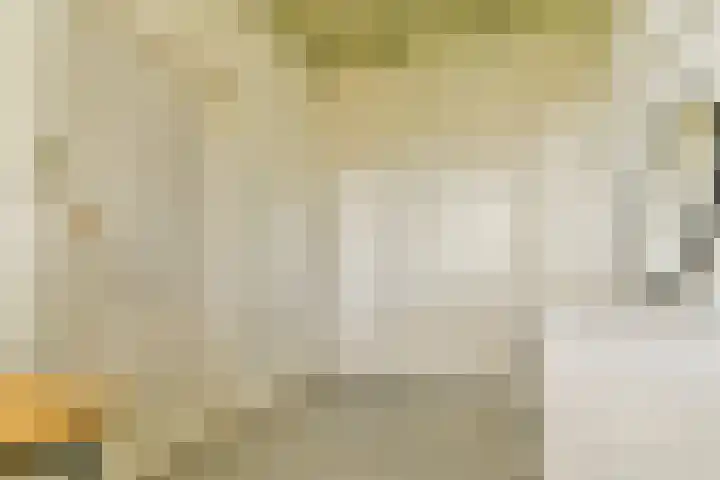 Plantsoen 24 Lage Zwaluwe thumbnail 13